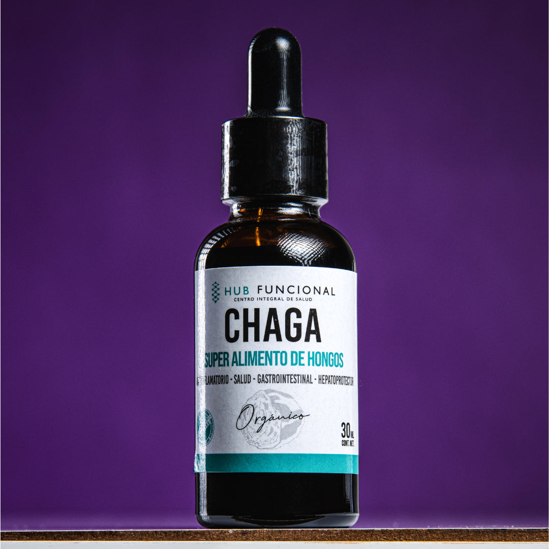 Chaga Hongo Medicinal Hub Funcional