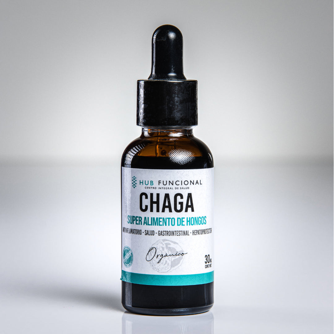 Chaga Hongo Medicinal Hub Funcional