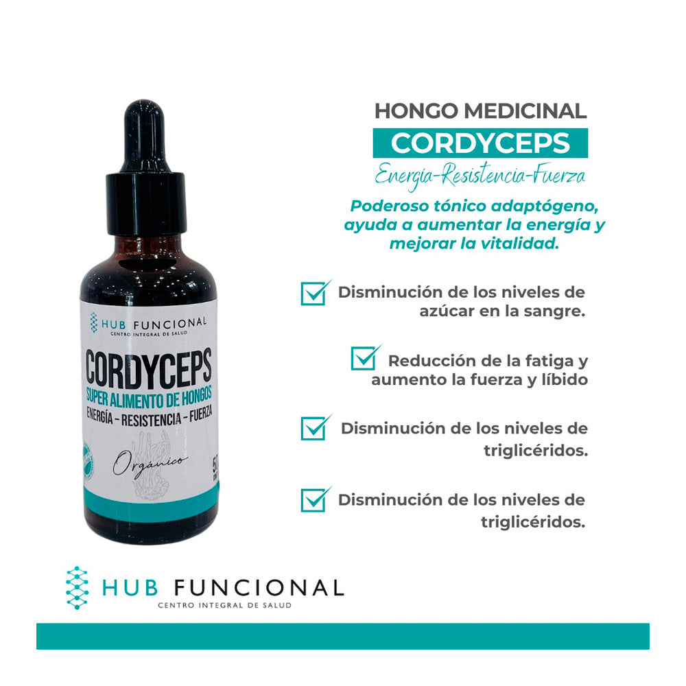 Cordyceps Orgánico Hongo Medicinal Hub Funcional
