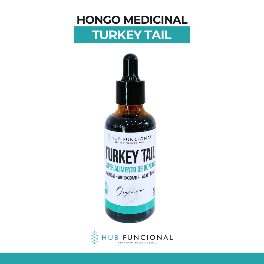 Turkey Tail Hongo Medicinal Hub Funcional