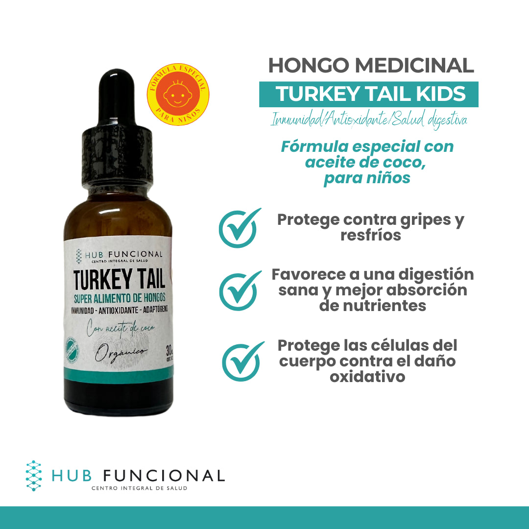Hongo Medicinal Hub Funcional Turkey Tail Kids